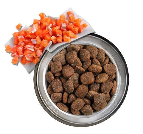 Dibaq Natural Moments – Getreidefreies Trockenfutter Mit Thunfisch Für Hunde, 12 Kg