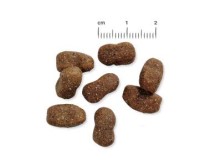 Vorschau: Belcando Adult GF Beef getreidefreies Hundefutter | Trockenfutter ohne Getreide 1x 1 kg Vorschau: Belcando Adult GF Beef getreidefreies Hundefutter | Trockenfutter ohne Getreide 1x 1 kg