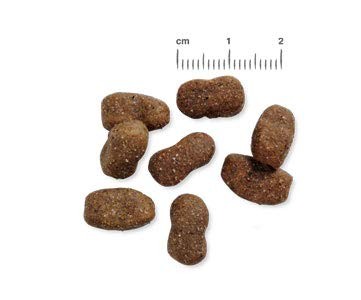 Belcando Adult GF Beef getreidefreies Hundefutter | Trockenfutter ohne Getreide 1x 1 kg